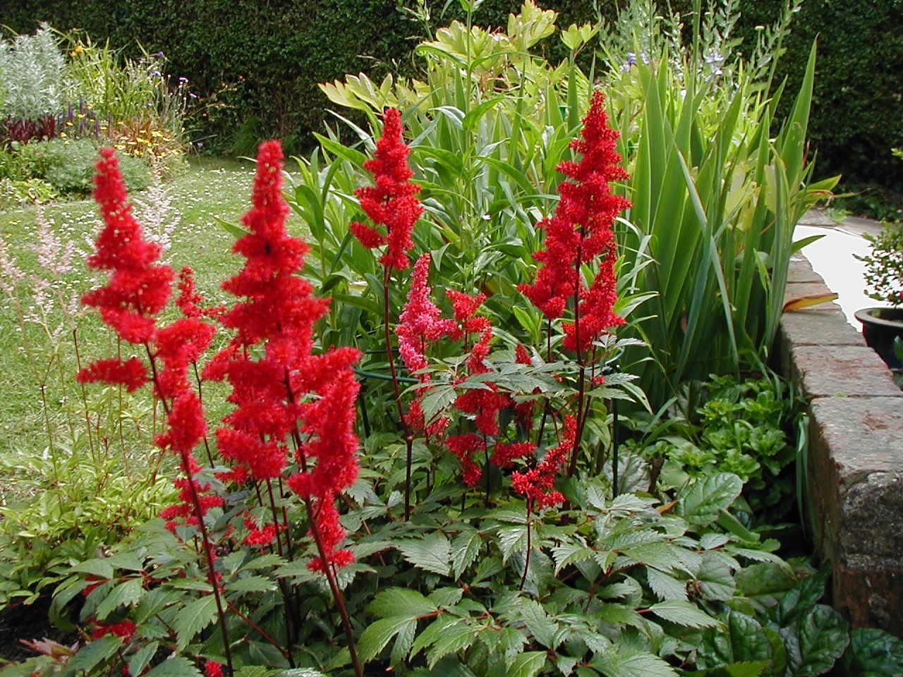 P6290025.jpg - 275116 Bytes