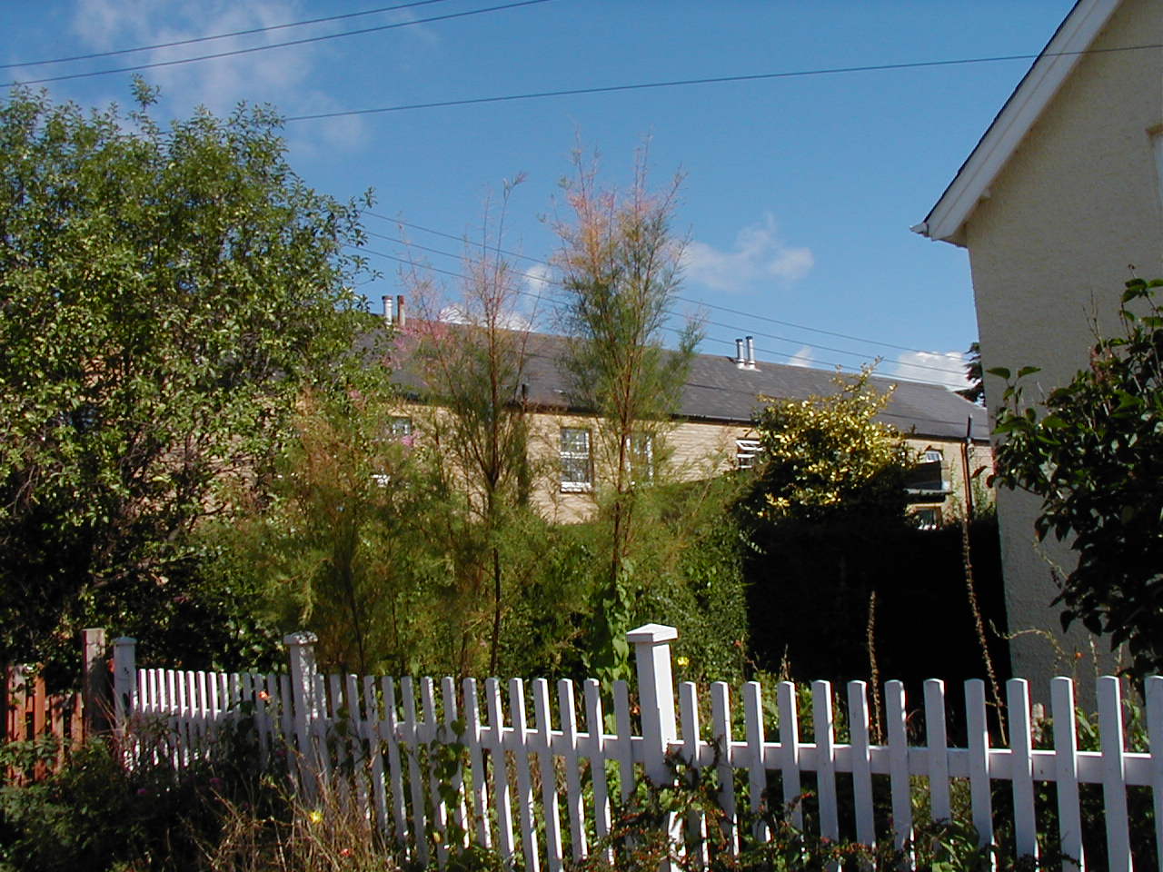 P9010033.JPG - 208307 Bytes